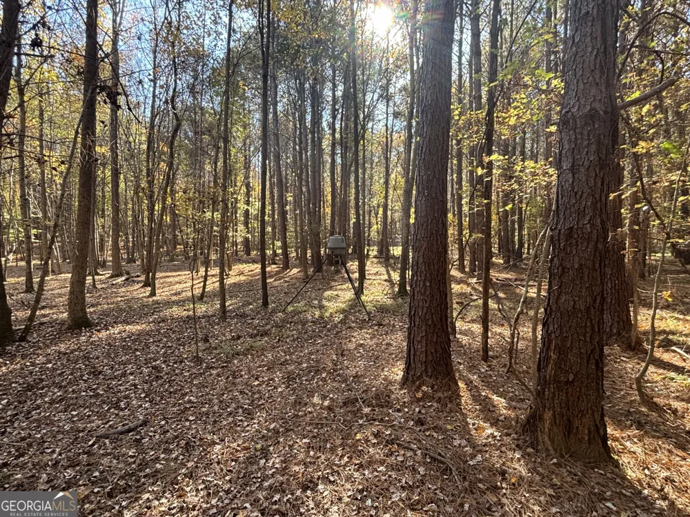 0 Heidi Trl Lot 10 Buckhead, GA 30625