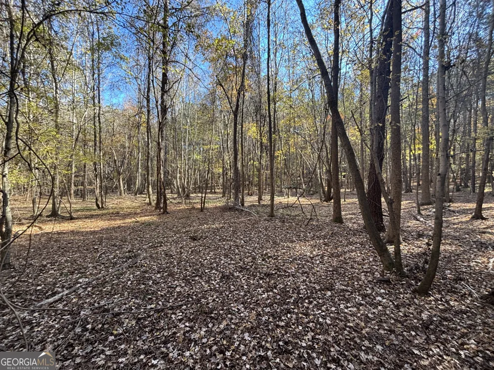 0 Heidi Trl Lot 10 Buckhead, GA 30625