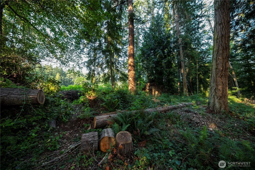 0 Ships Havens Drive Freeland, WA 98249