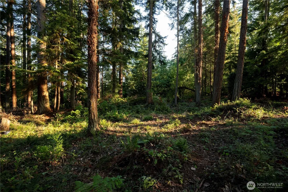 0 Ships Havens Drive Freeland, WA 98249