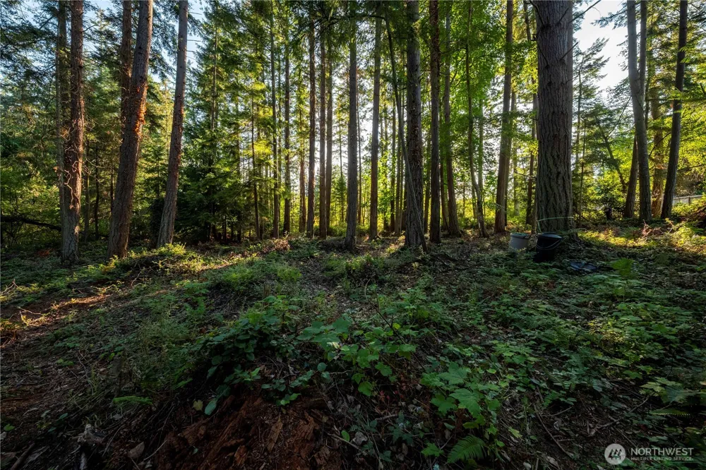 0 Ships Havens Drive Freeland, WA 98249