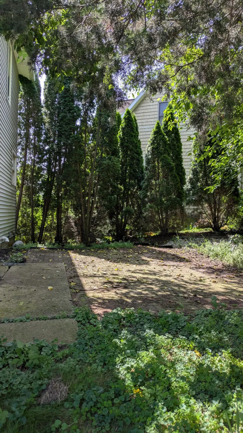 10149 Emerald Drive Cambridge Township, MI 49230