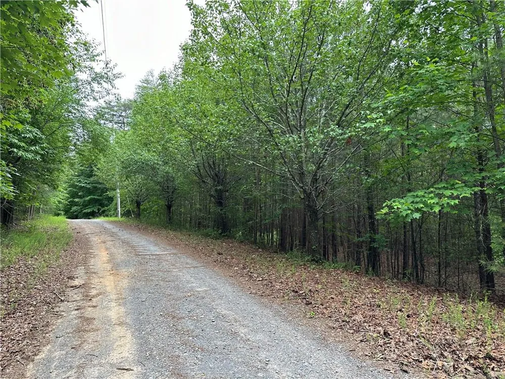 585 Galaxy Way Ranger, GA 30734