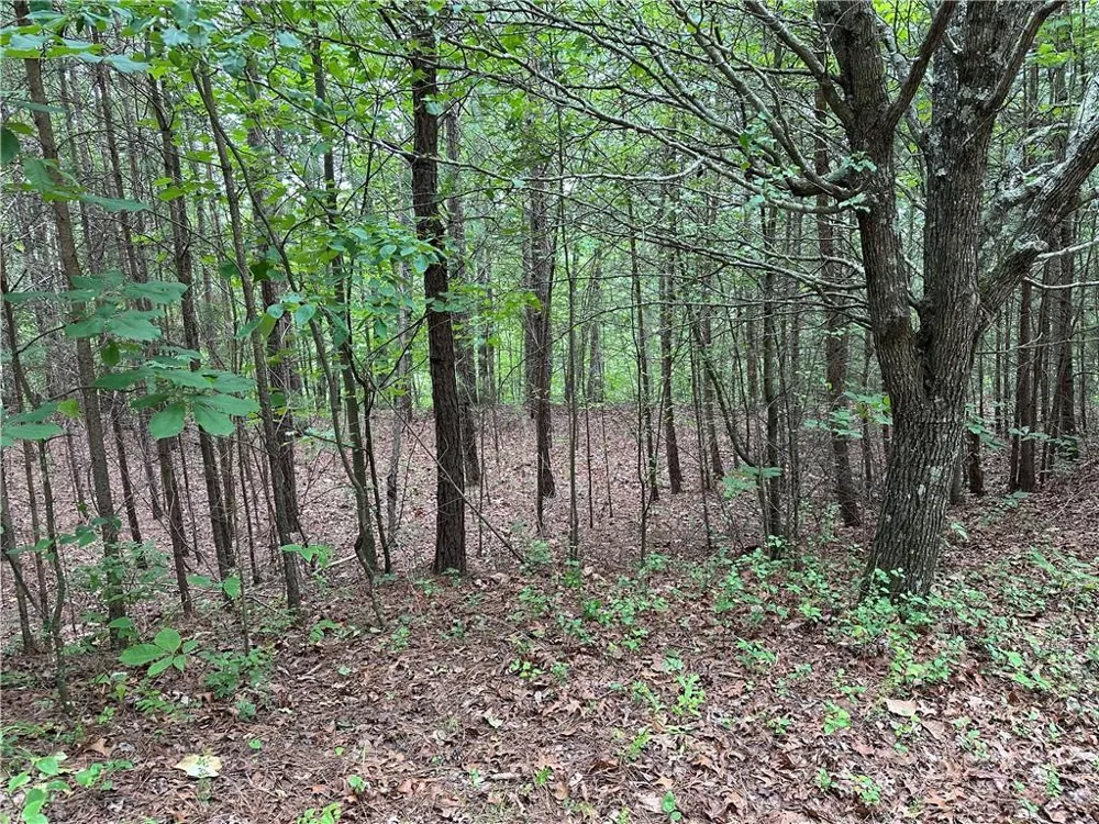 585 Galaxy Way Ranger, GA 30734