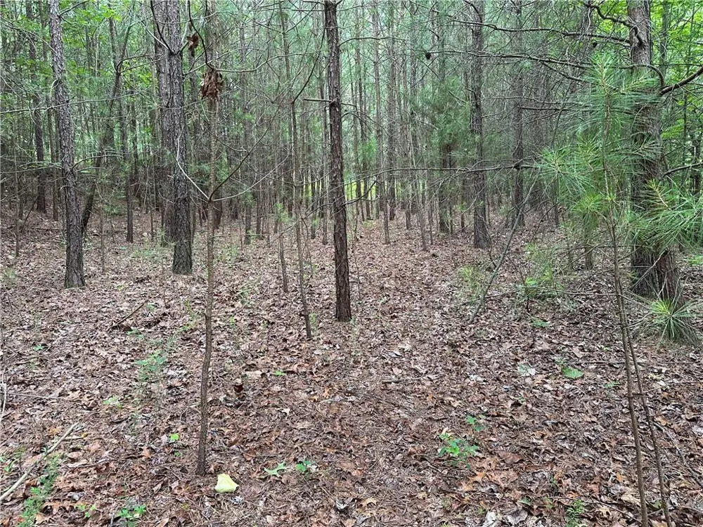 585 Galaxy Way Ranger, GA 30734