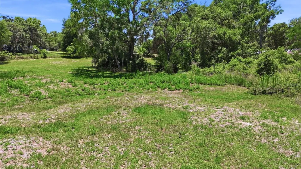 3915 S SPANIEL TRAIL Inverness, FL 34450