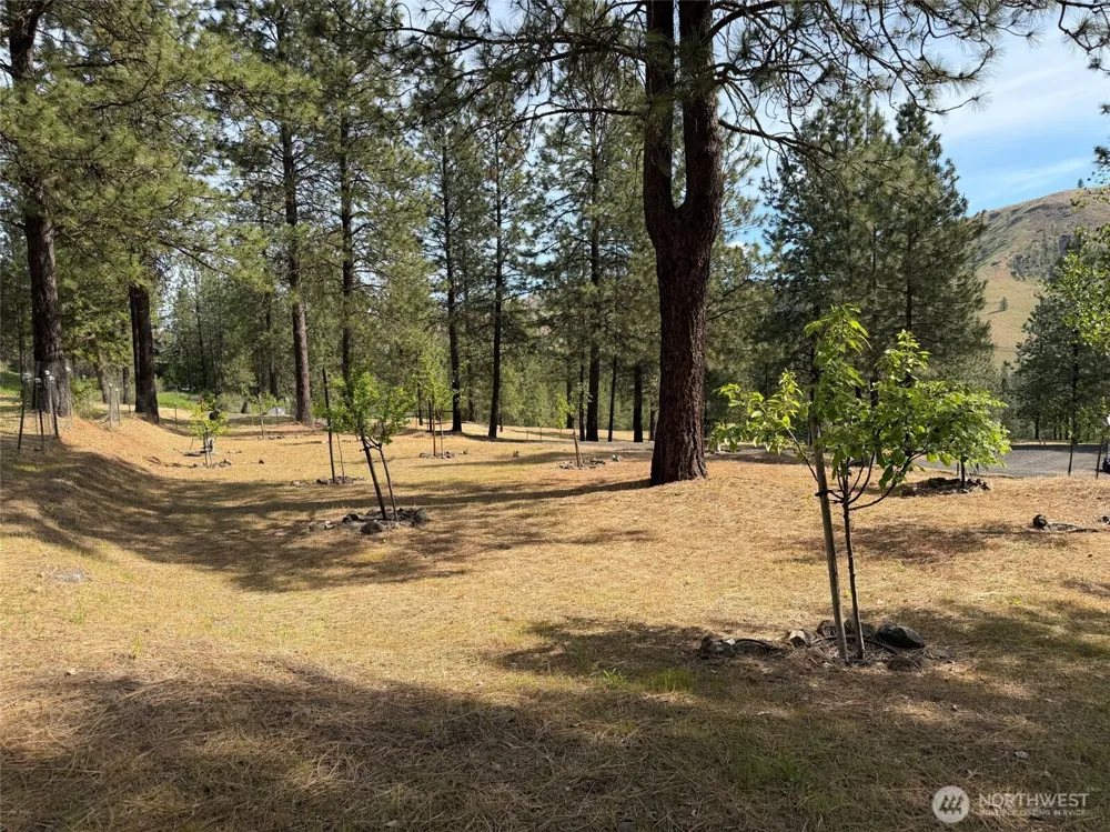 32765 Rays Place Davenport, WA 99122