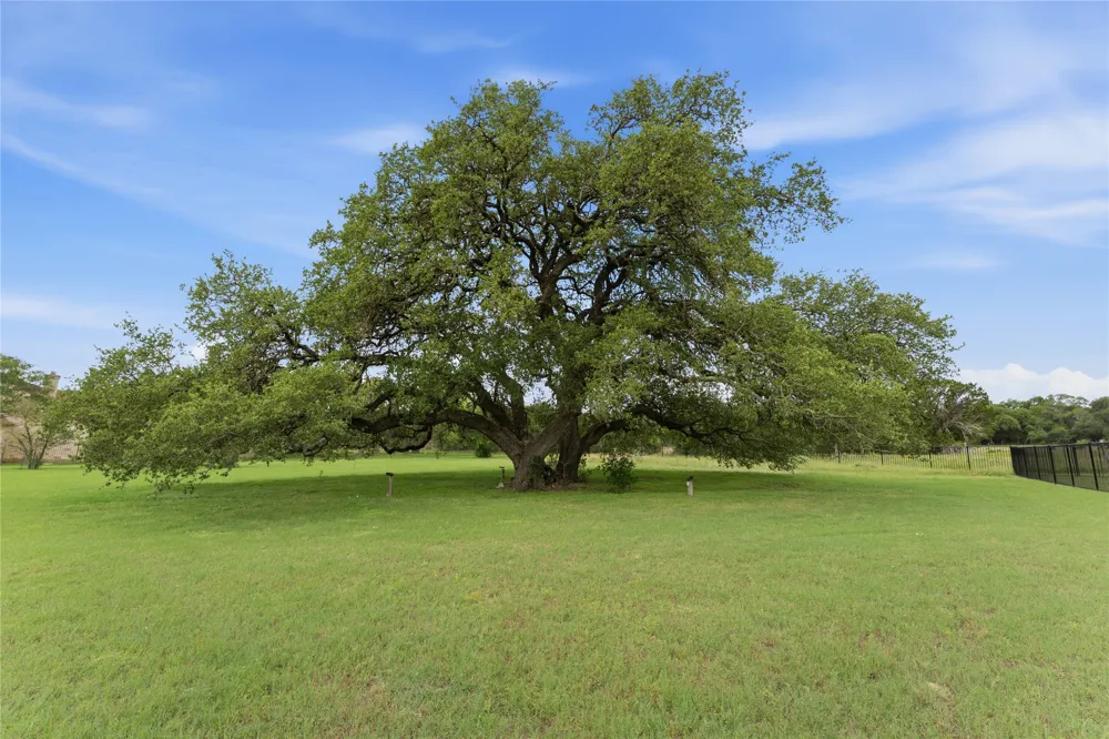119 Hidden Canyon Cove Driftwood, TX 78619