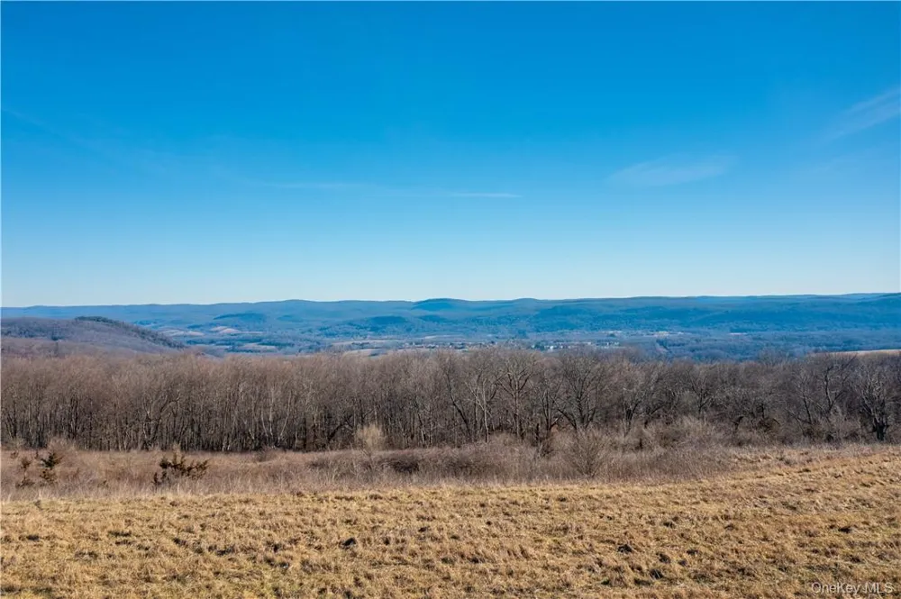 1297 Route 343 Dover Plains, NY 12522