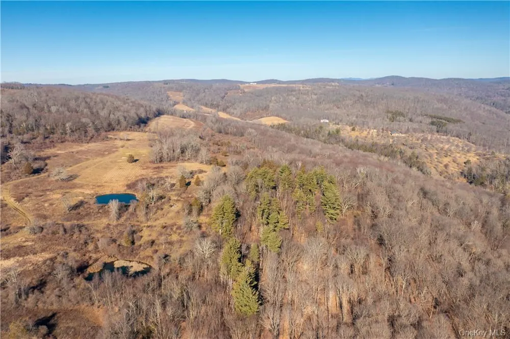 1297 Route 343 Dover Plains, NY 12522