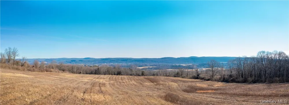 1297 Route 343 Dover Plains, NY 12522