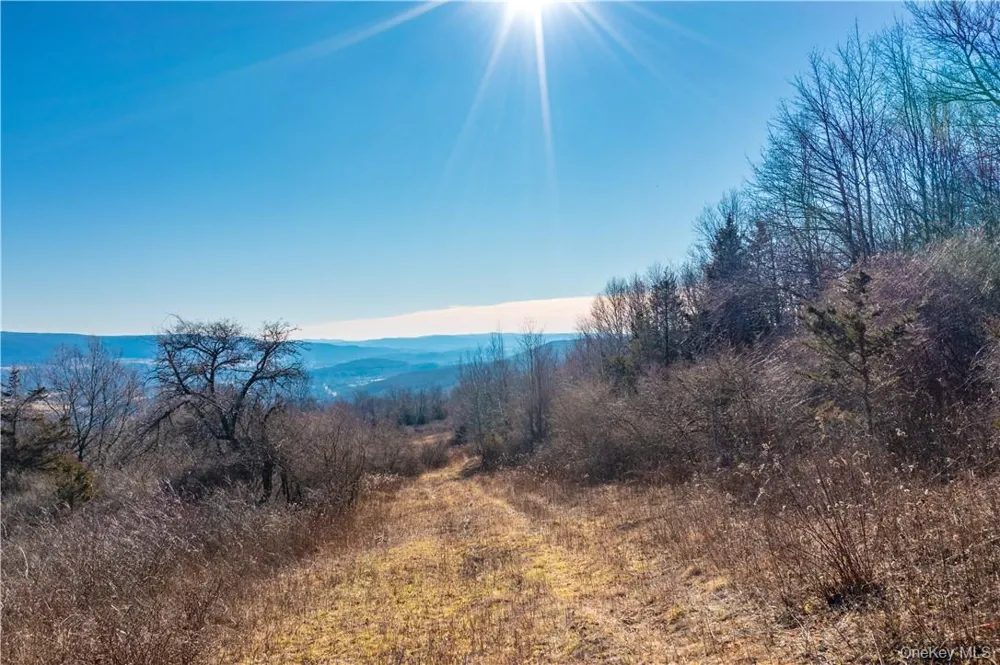 1297 Route 343 Dover Plains, NY 12522
