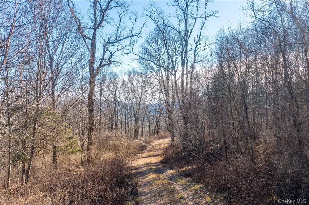 1297 Route 343 Dover Plains, NY 12522