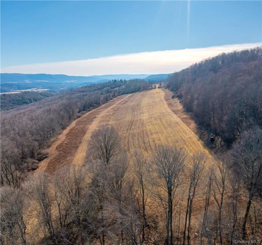 1297 Route 343 Dover Plains, NY 12522