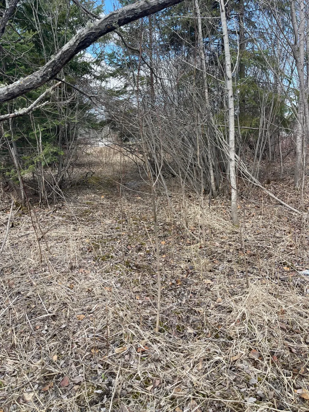 87XX Arbor Lane Mountain Iron, MN 55768