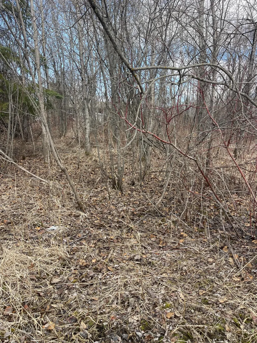 87XX Arbor Lane Mountain Iron, MN 55768