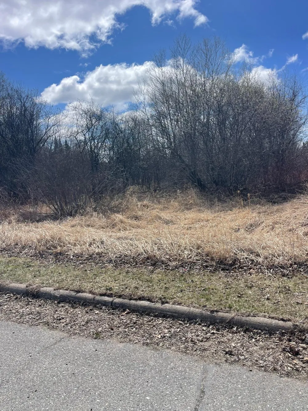 87XX Arbor Lane Mountain Iron, MN 55768