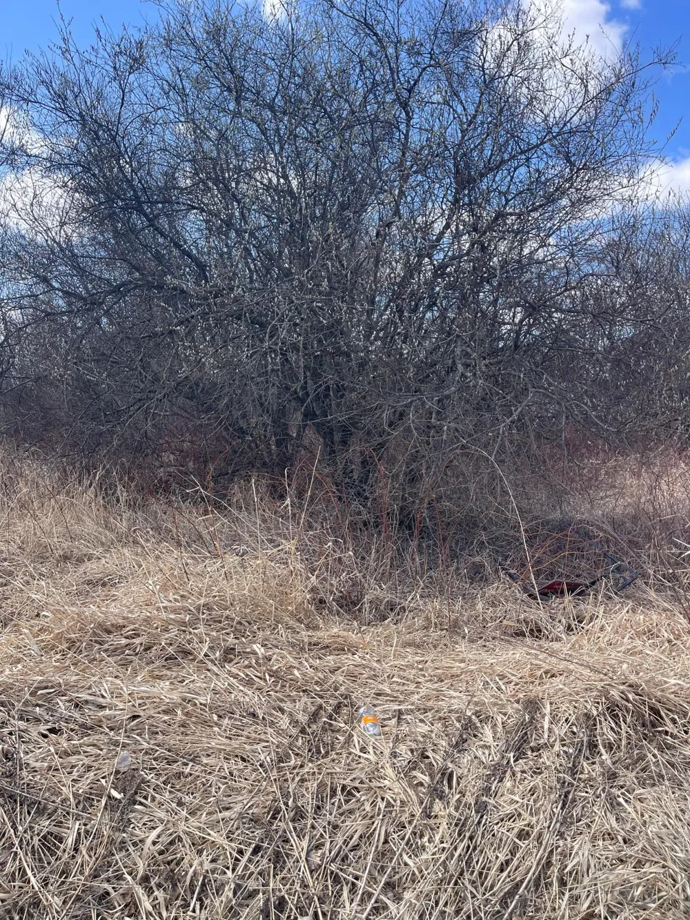 87XX Arbor Lane Mountain Iron, MN 55768