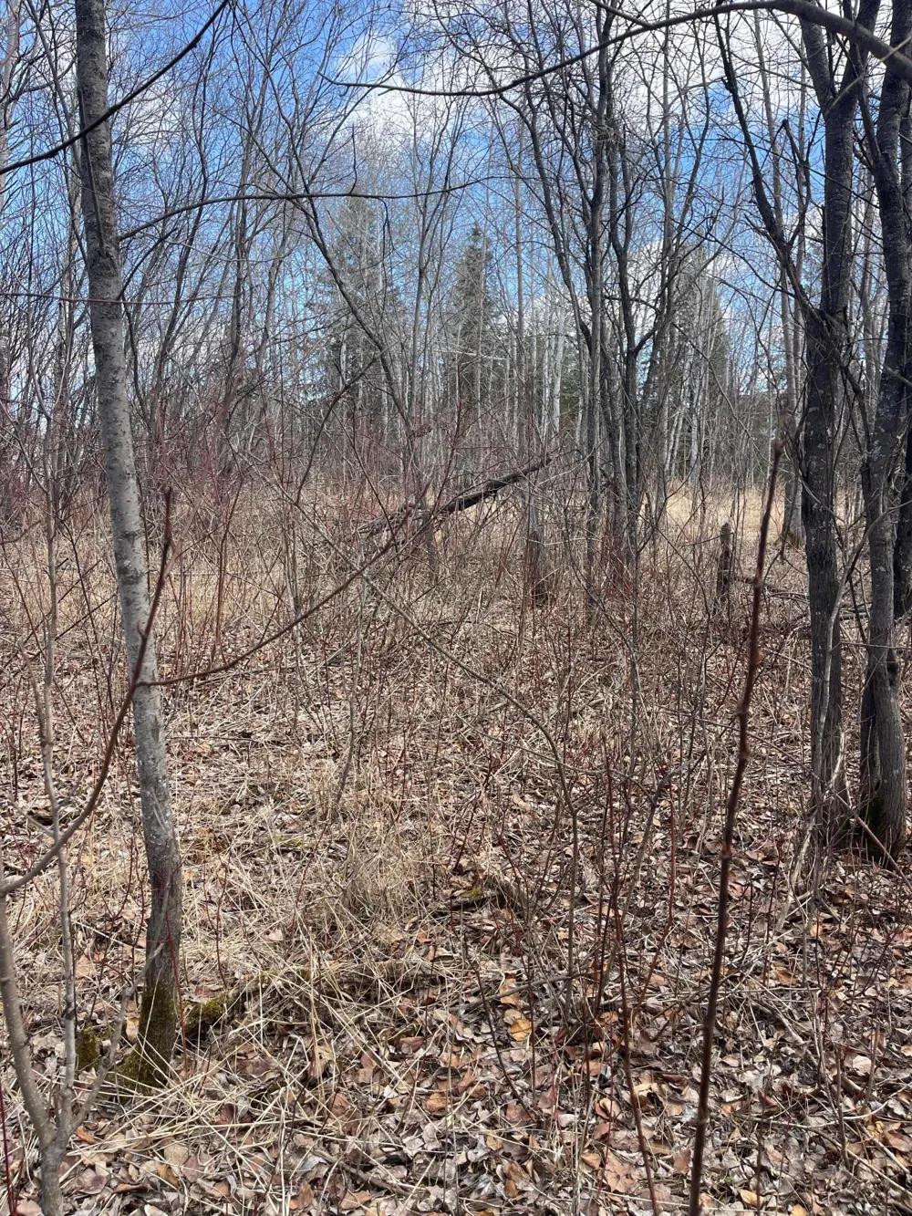 87XX Arbor Lane Mountain Iron, MN 55768