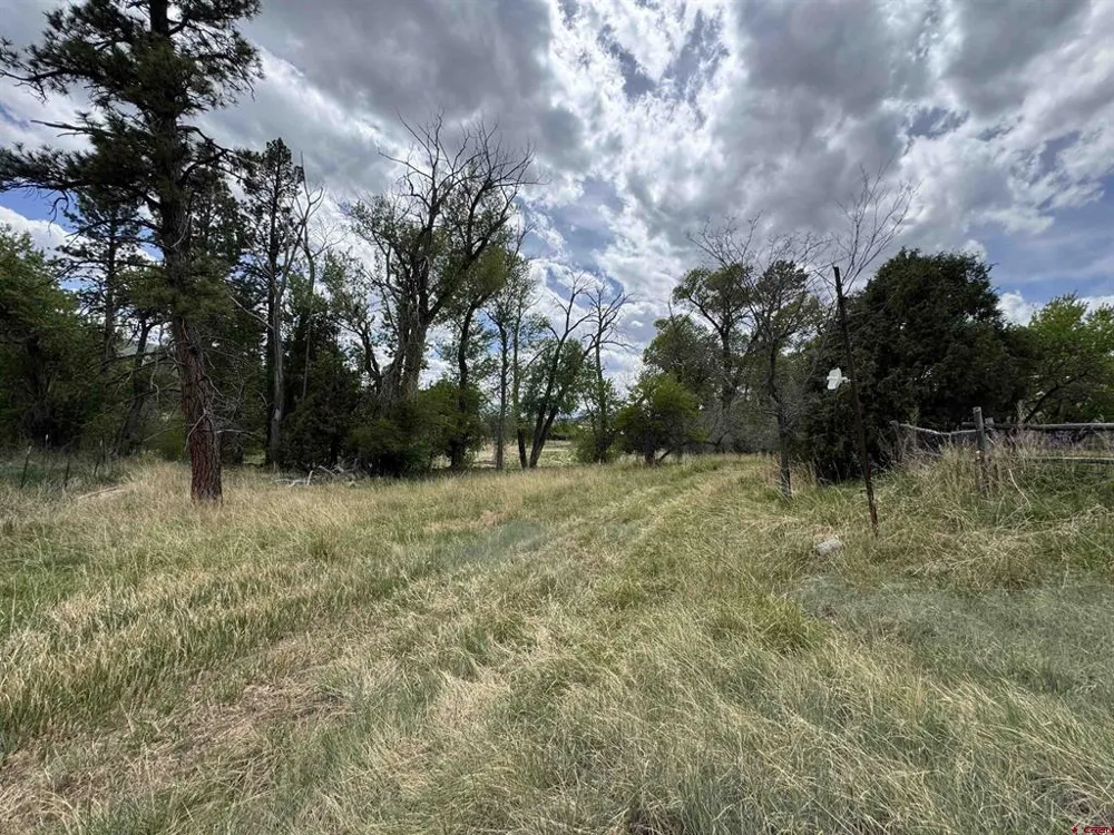 10929 Road 44 Mancos, CO 81328