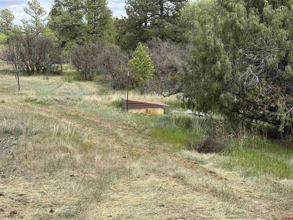10929 Road 44 Mancos, CO 81328