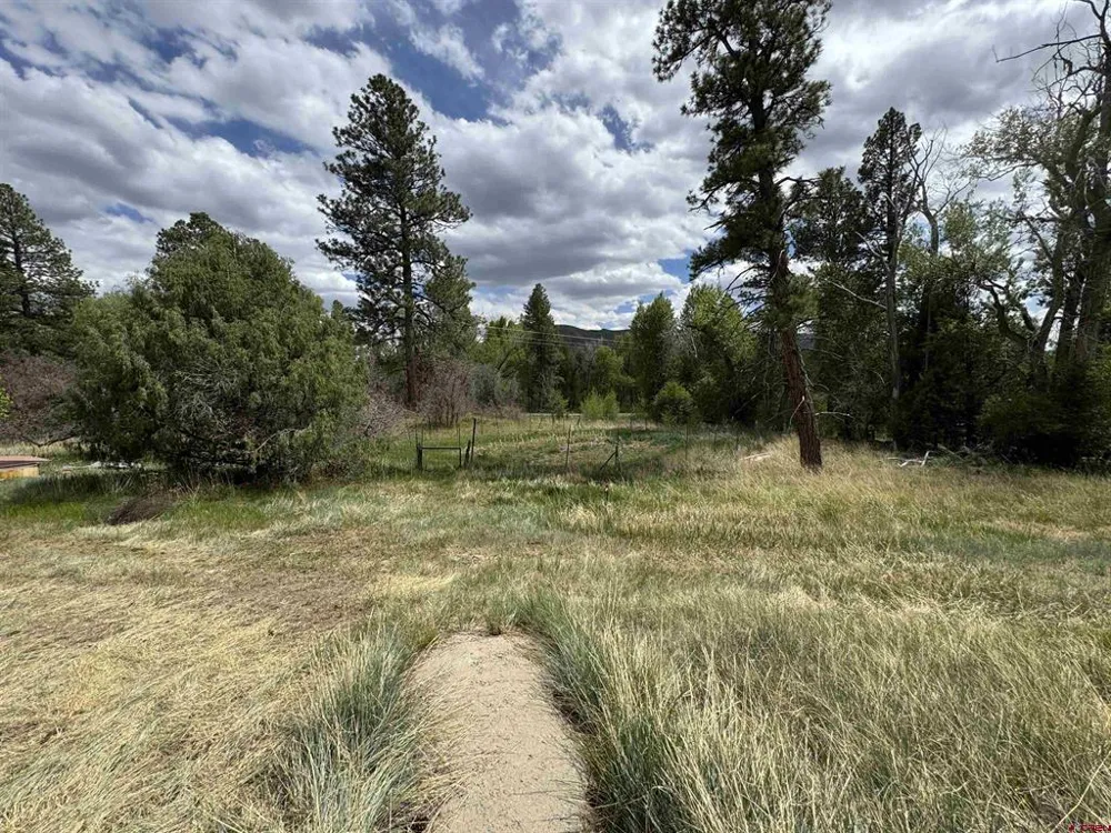 10929 Road 44 Mancos, CO 81328