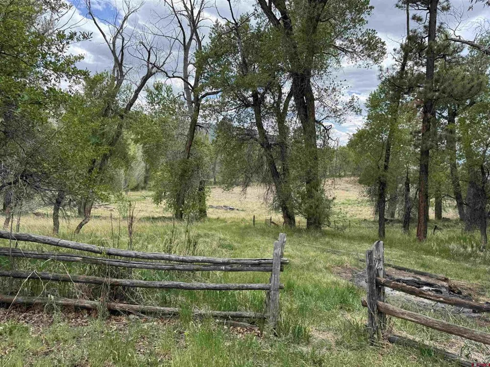 10929 Road 44 Mancos, CO 81328