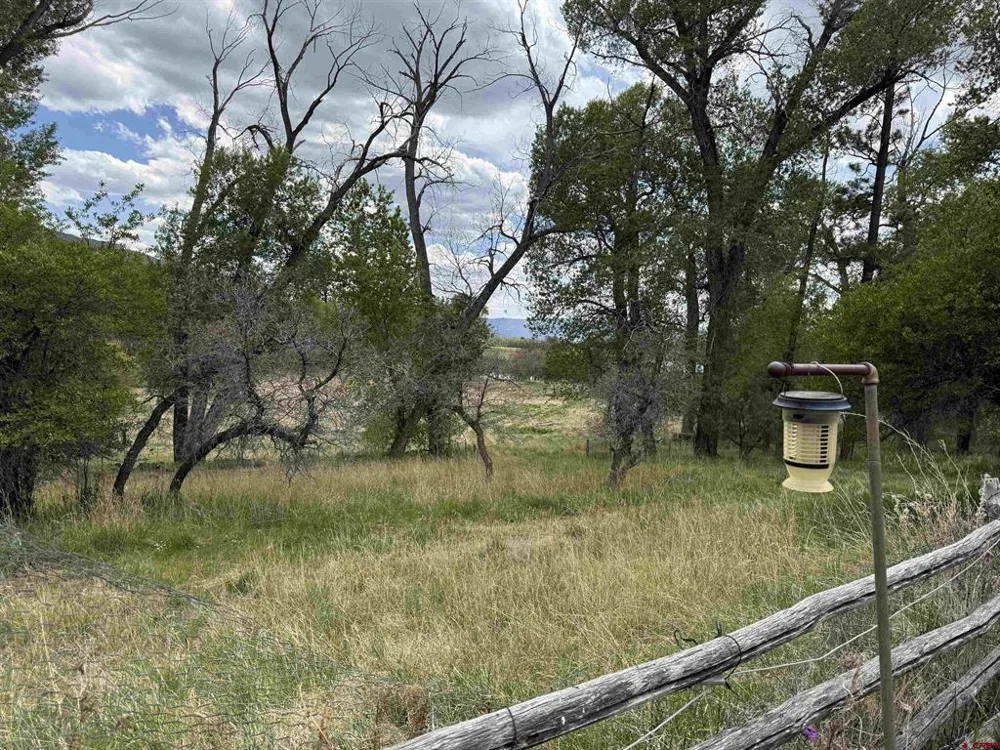 10929 Road 44 Mancos, CO 81328