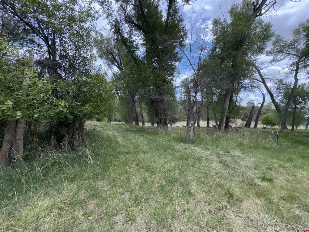 10929 Road 44 Mancos, CO 81328