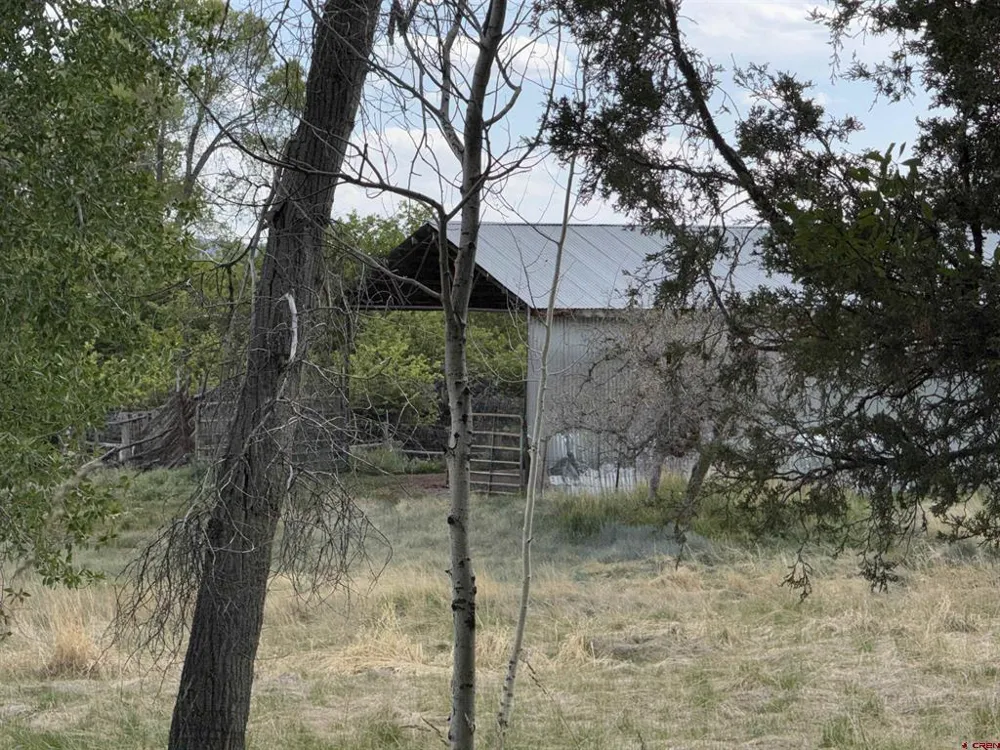 10929 Road 44 Mancos, CO 81328