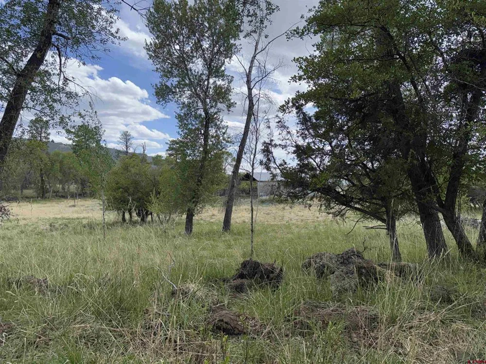 10929 Road 44 Mancos, CO 81328