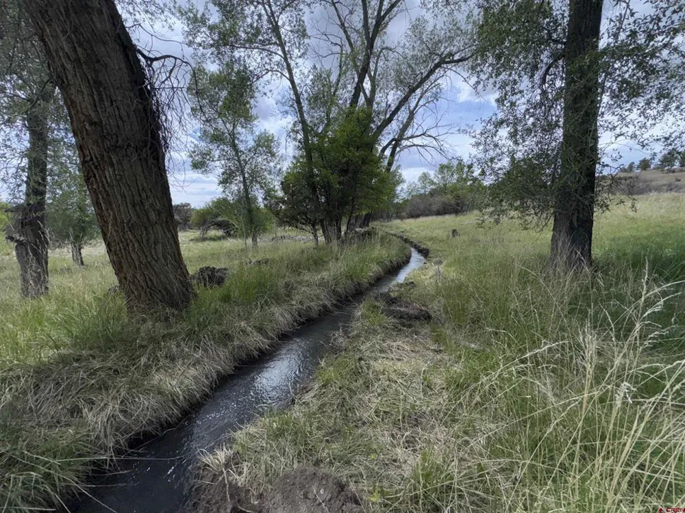 10929 Road 44 Mancos, CO 81328