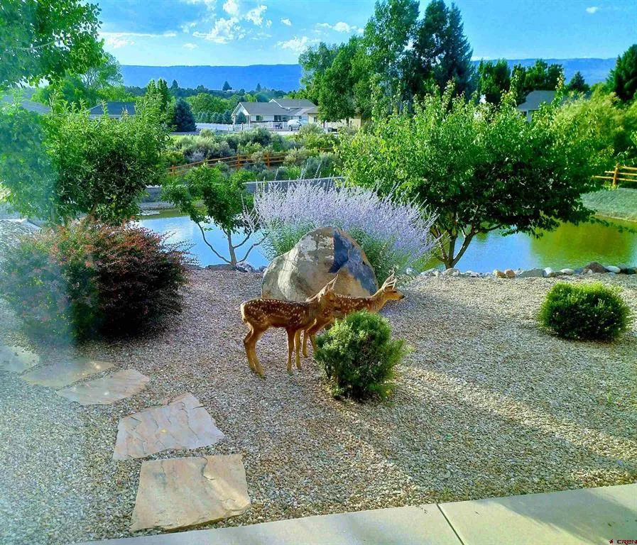 1510 SE Fairway Drive Cedaredge, CO 81413