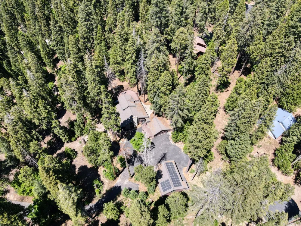 39145 Checkerbloom Lane Shaver Lake, CA 93664