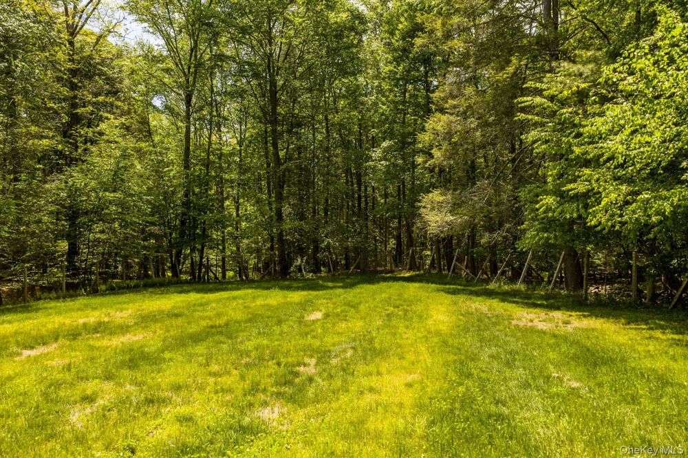 41 Philip Drive Montgomery, NY 12549