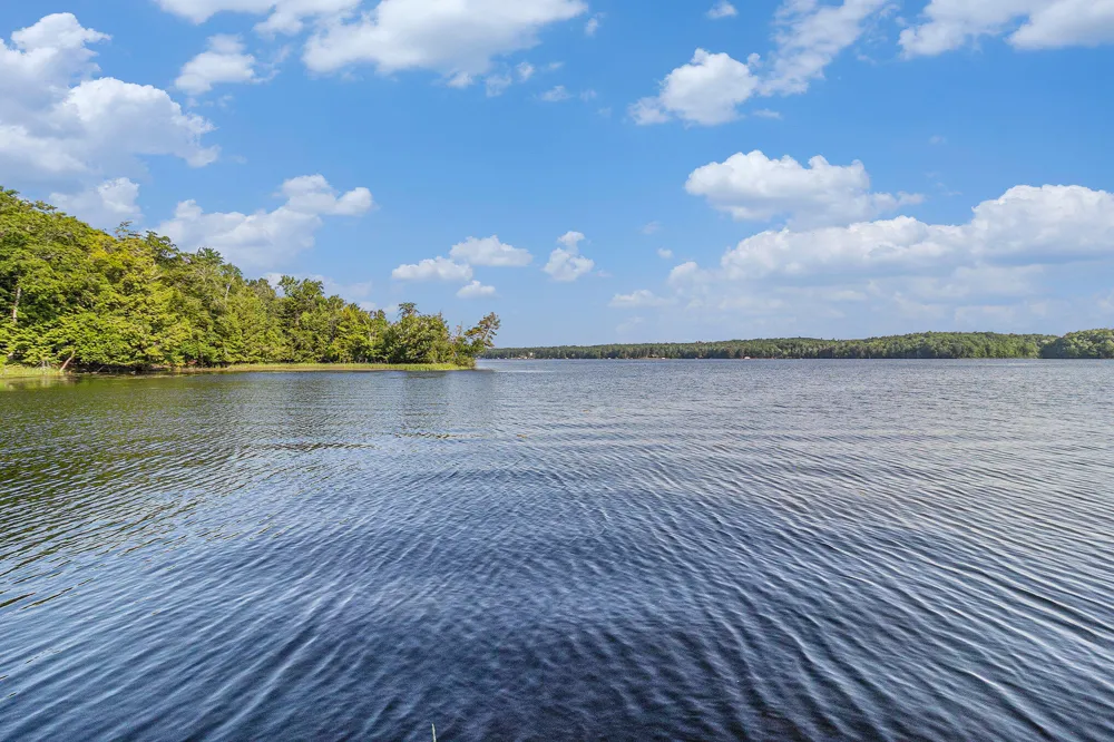 6253 Loggers Lane Hamlin Township, MI 49431