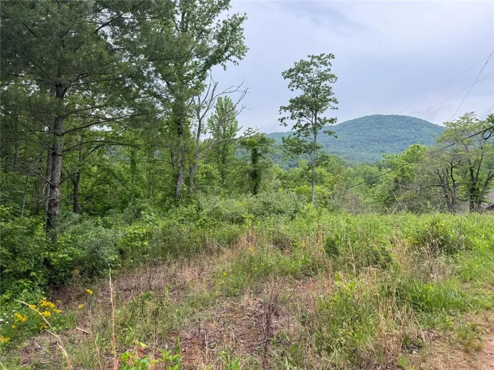Lot 6D Meadow View Lane Cleveland, GA 30528