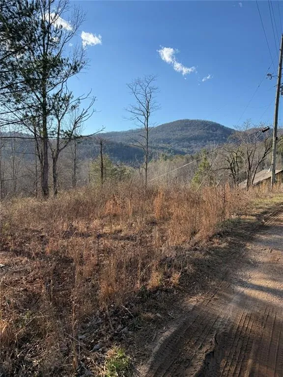 Lot 6D Meadow View Lane Cleveland, GA 30528