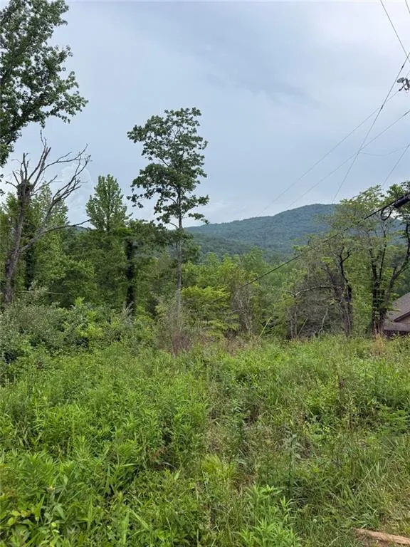 Lot 6D Meadow View Lane Cleveland, GA 30528