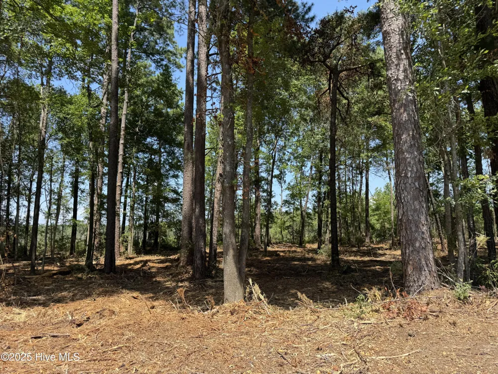 Lot 5 Near 4102 Swamp Fox (Lot 5) Highway W Tabor City, NC 28463