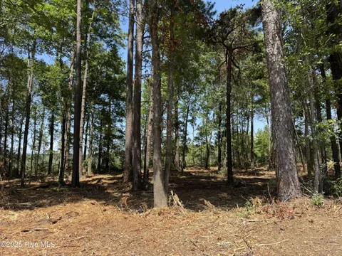 Lot 5 Near 4102 Swamp Fox (Lot 5) Highway W