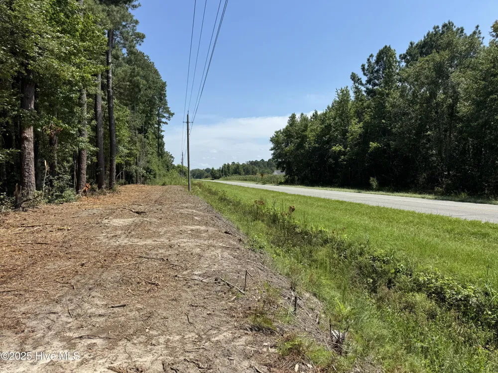 Lot 5 Near 4102 Swamp Fox (Lot 5) Highway W Tabor City, NC 28463