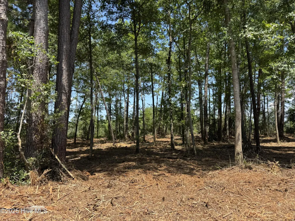 Lot 5 Near 4102 Swamp Fox (Lot 5) Highway W Tabor City, NC 28463