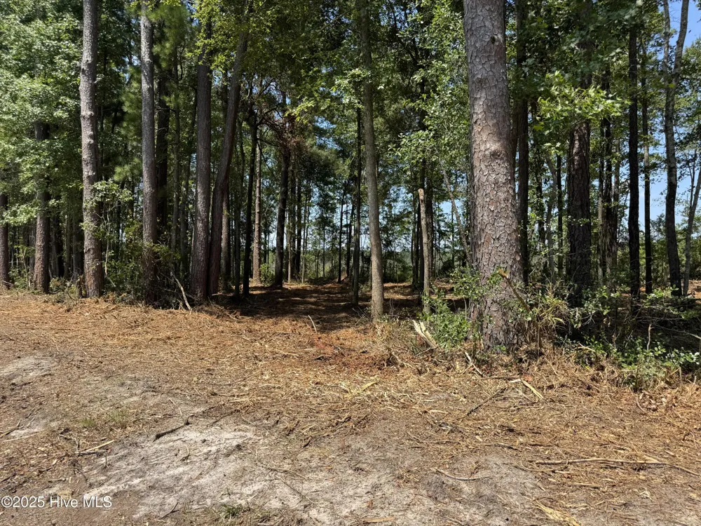 Lot 5 Near 4102 Swamp Fox (Lot 5) Highway W Tabor City, NC 28463
