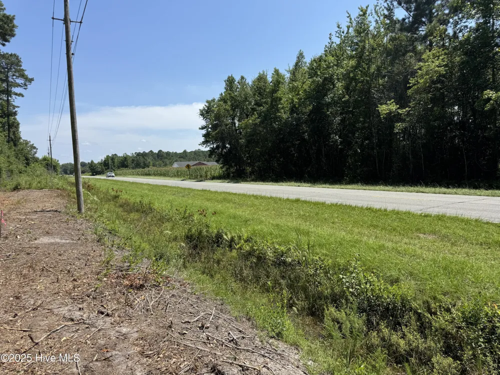 Lot 5 Near 4102 Swamp Fox (Lot 5) Highway W Tabor City, NC 28463