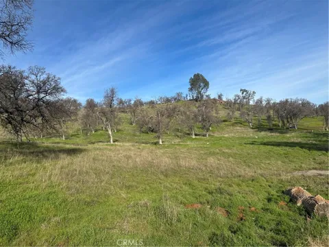 3228 Wild Rose Court