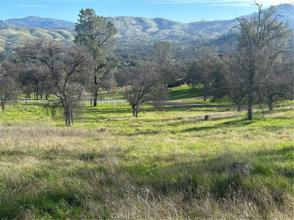 3228 Wild Rose Court Catheys Valley, CA 95306
