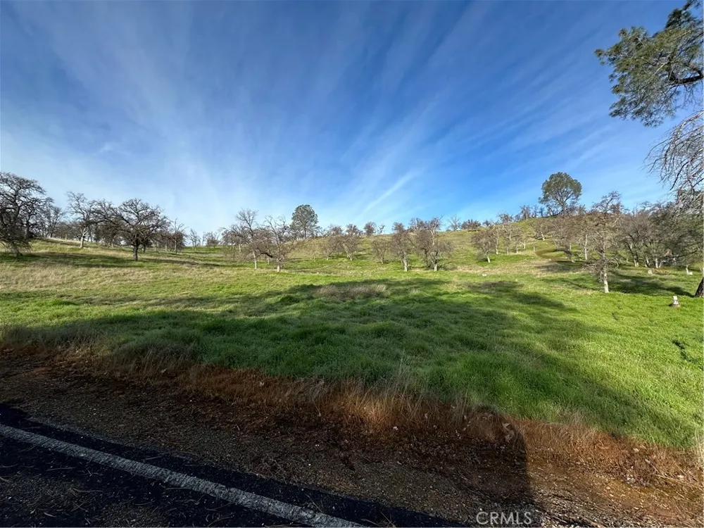3228 Wild Rose Court Catheys Valley, CA 95306