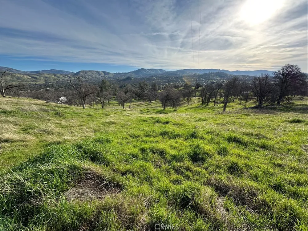 3228 Wild Rose Court Catheys Valley, CA 95306