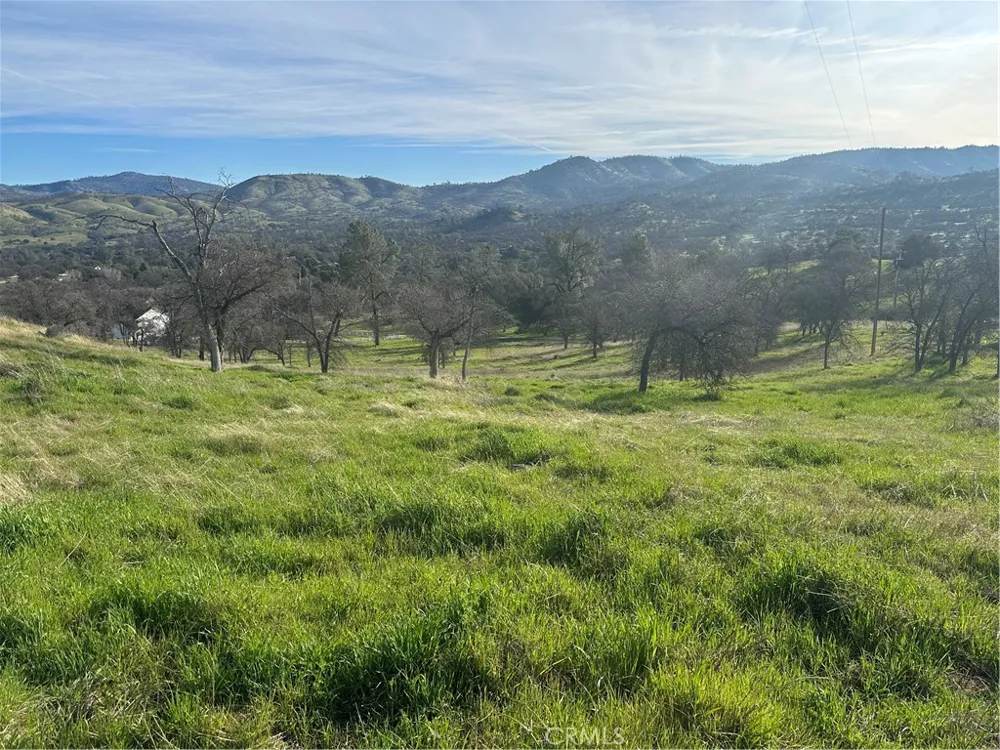 3228 Wild Rose Court Catheys Valley, CA 95306